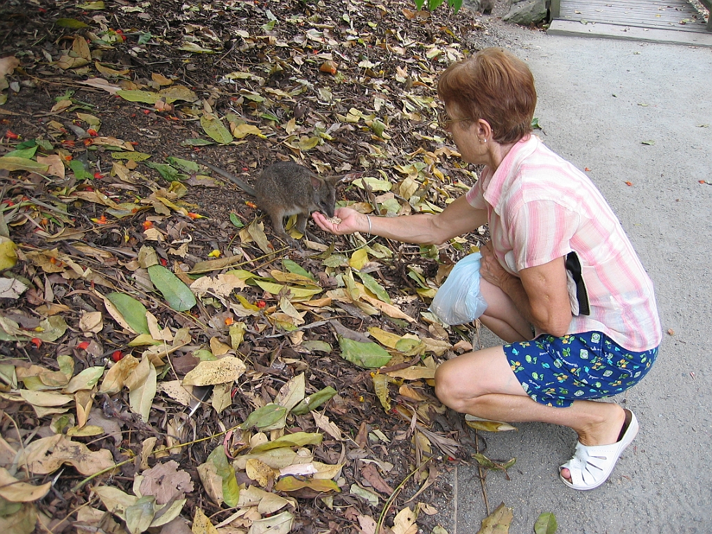 072 Port Douglas Wildlife Habitat.jpg